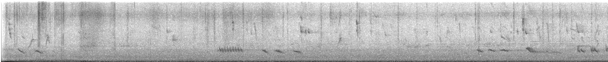 Tropical Mockingbird - ML642616766