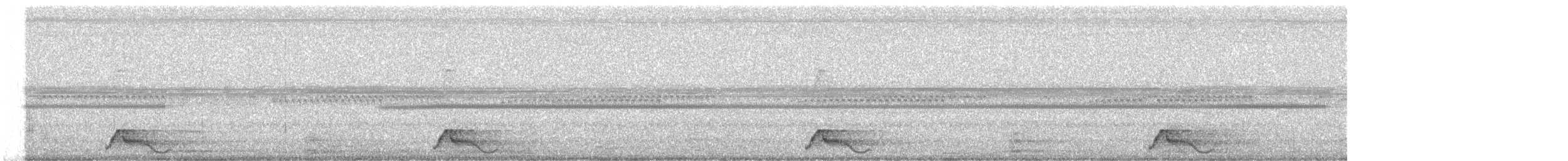 pauraquenattravn - ML642617131