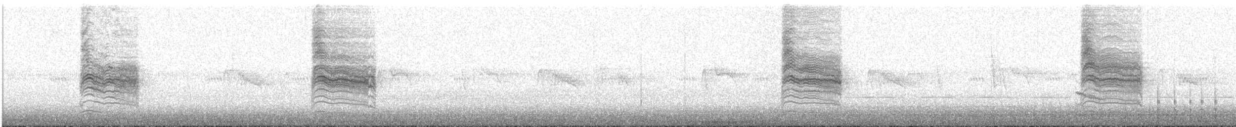 Northern House Wren - ML642618779