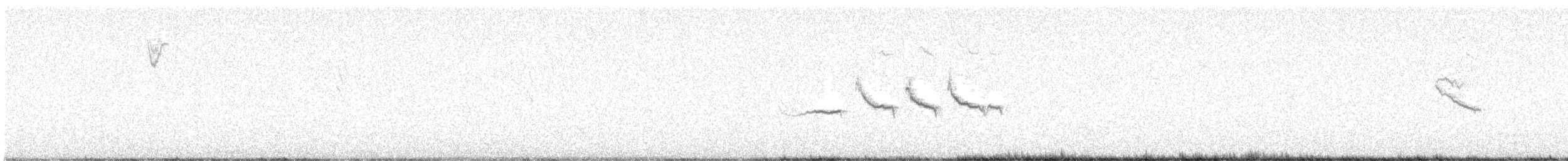 White-crowned Sparrow - ML642623042