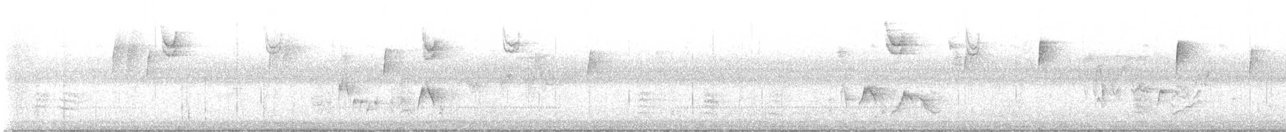 White-eyed Vireo - ML642623209