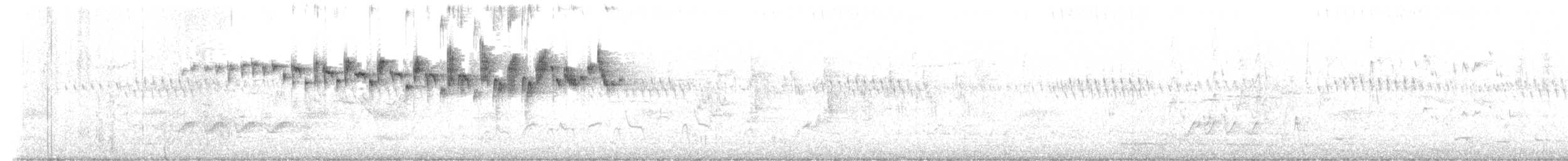 Splendid Fairywren - ML642623329