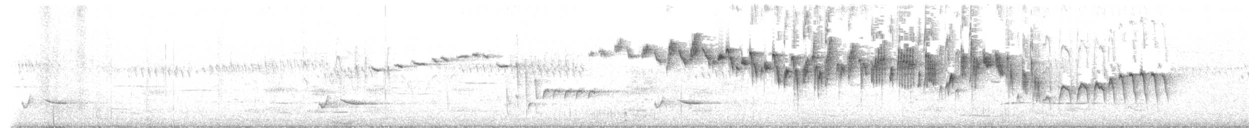 Splendid Fairywren - ML642623330