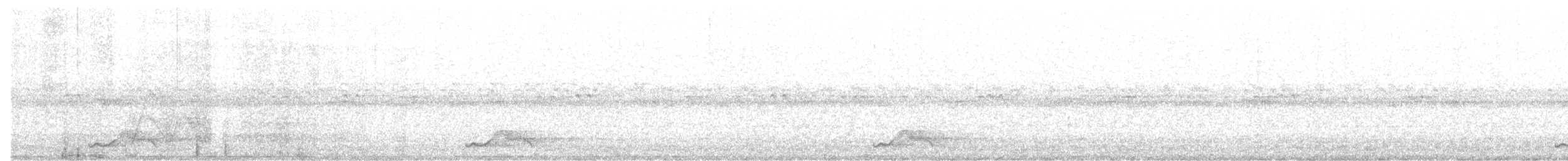 pauraquenattravn - ML642623876
