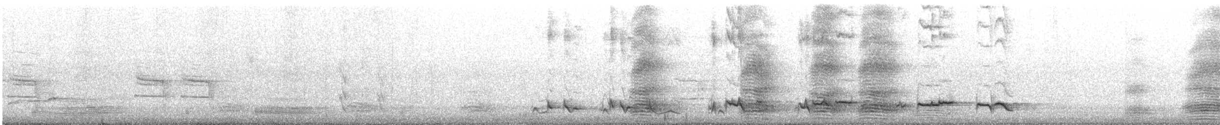 Striped Honeyeater - ML642624950