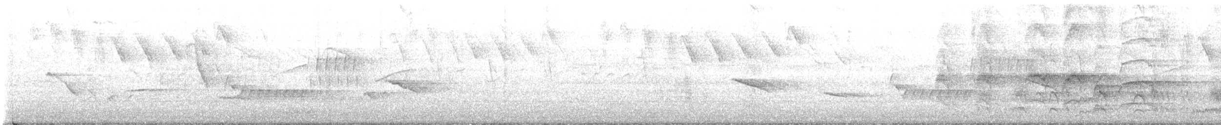 Grayish Baywing - ML642625319