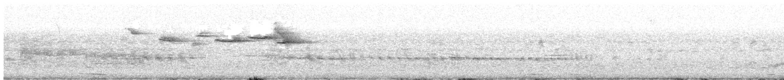 White-browed Warbler - ML642627525