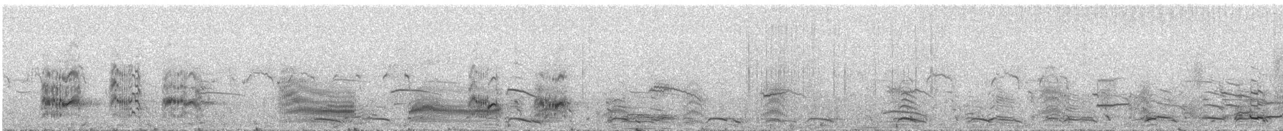 サンドイッチアジサシ - ML642627741