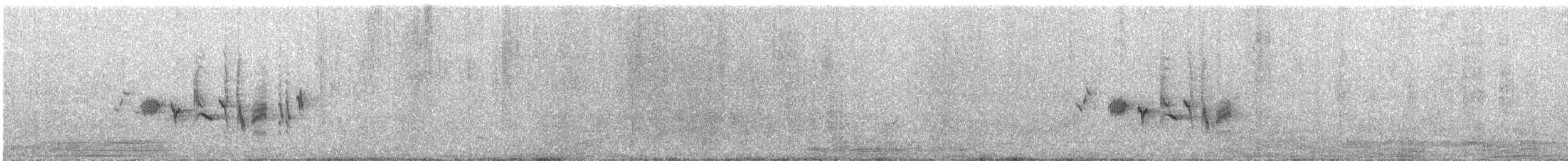 Шөвгөр зэржгэнэ - ML642627776