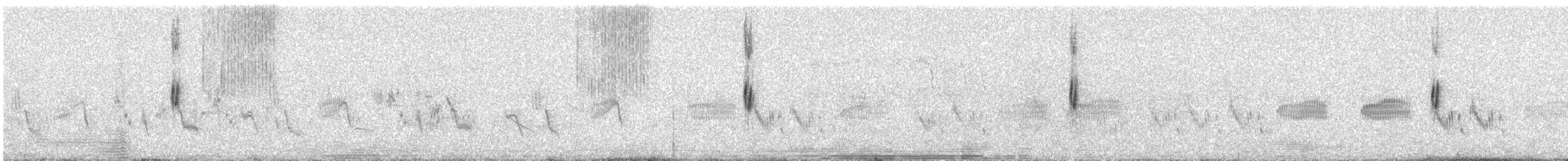 Bruant proyer - ML642628022