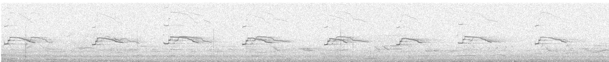 European Herring Gull - ML642629942