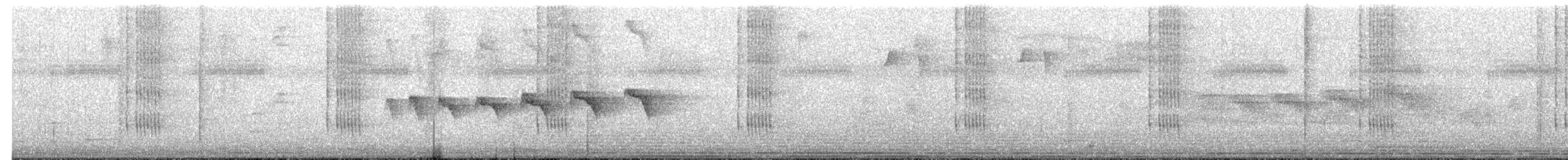 Black-throated Antbird - ML642630235