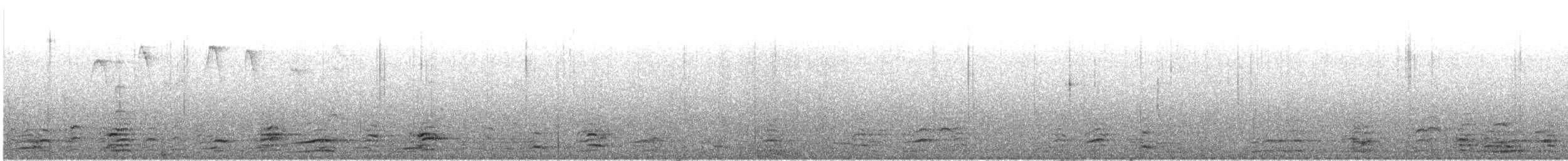 Bernache de Hutchins - ML642631656