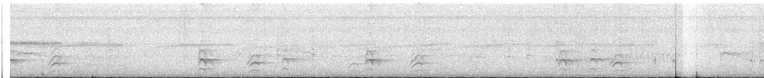 Mouse-colored Tyrannulet - ML642631736