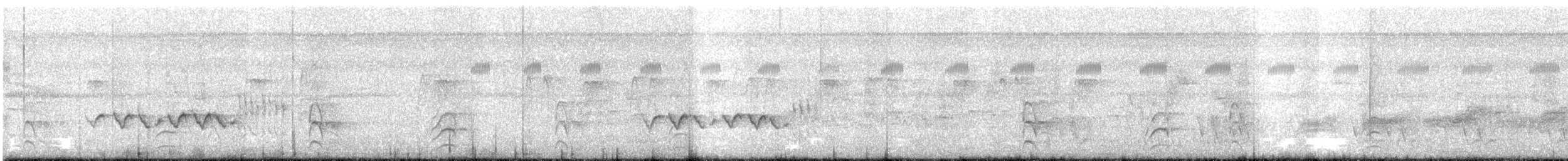 gråhodevireo - ML642631890