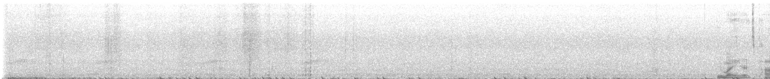 Little Spotted Kiwi - ML642634820