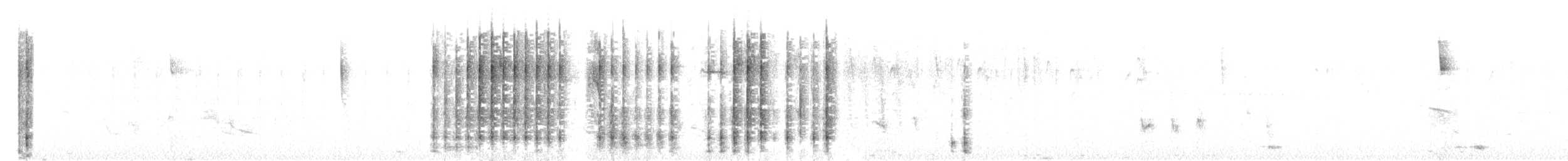 datlíček proužkobřichý - ML642635050