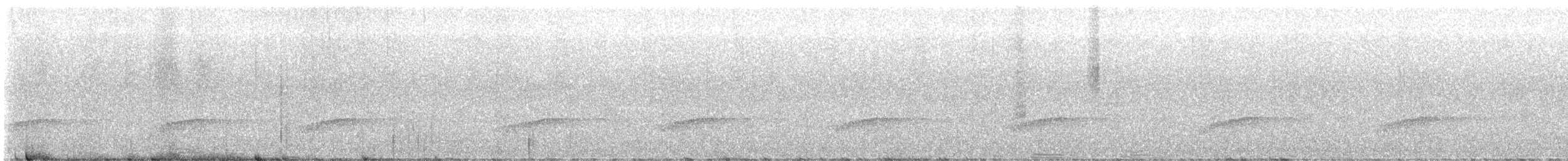 Little Spotted Kiwi - ML642635083