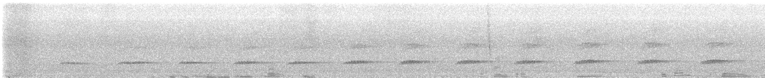 Little Spotted Kiwi - ML642635229