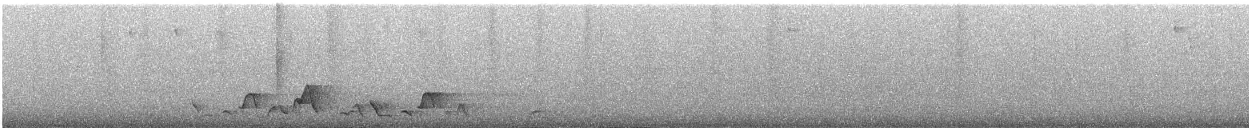 Plain-tailed Wren - ML642635866