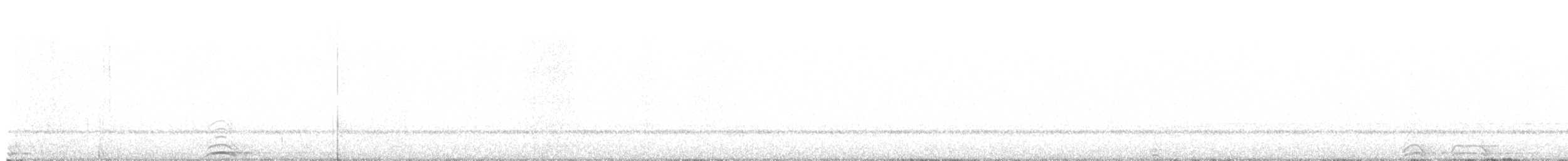 ニシアメリカフクロウ（caurina） - ML642635983