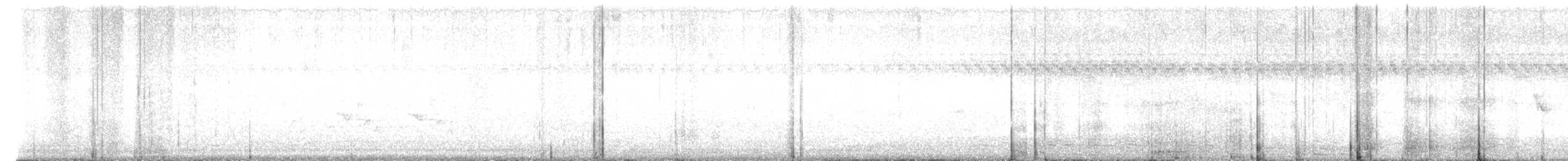 Carolina Wren - ML642637589