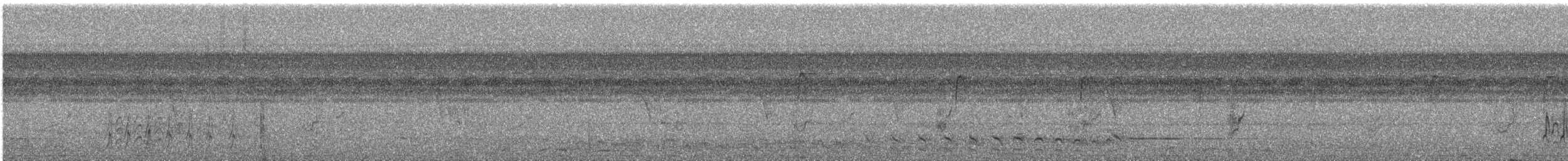 Pied Plover - ML642638250