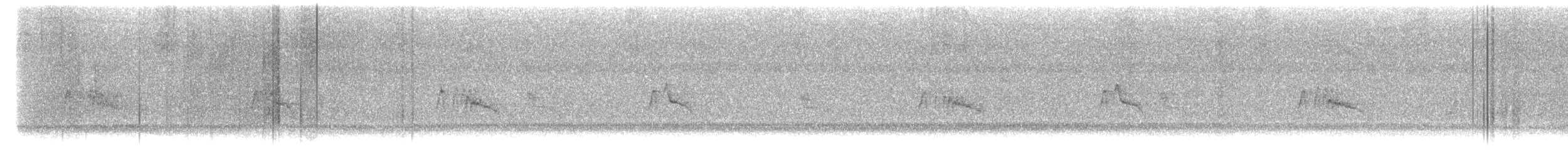 クロツキヒメハエトリ - ML642638357
