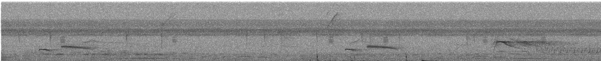 Gray Antbird - ML642639417