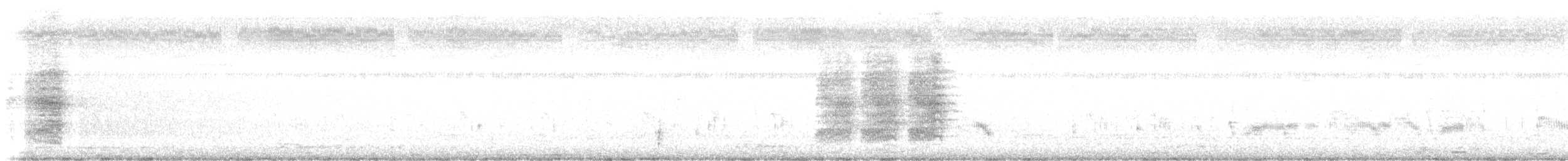 Racket-tailed Treepie - ML642641617