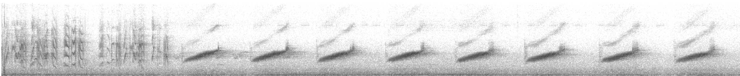 オーストラリアメンガタカササギビタキ - ML642643183