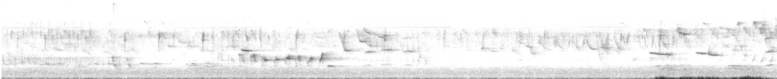 クレナイミツスイ - ML642645362