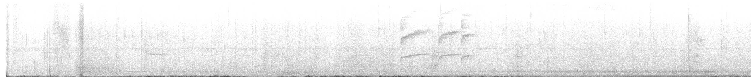 Snowy-bellied Hummingbird - ML642645567