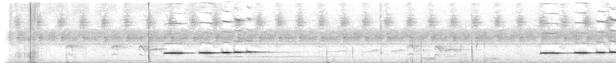 Pheasant Cuckoo - ML642646065
