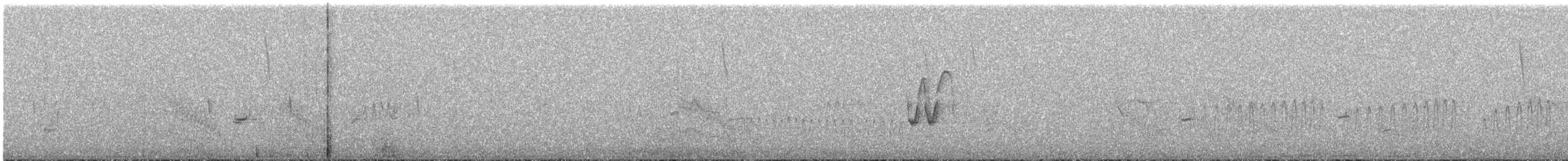 Tinamú Andino - ML642646080