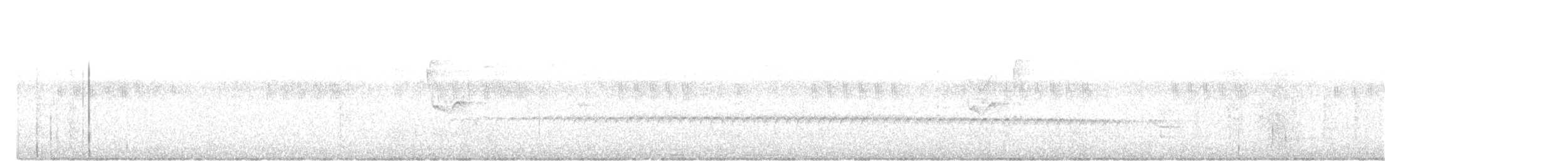 Little Bronze-Cuckoo - ML642647178