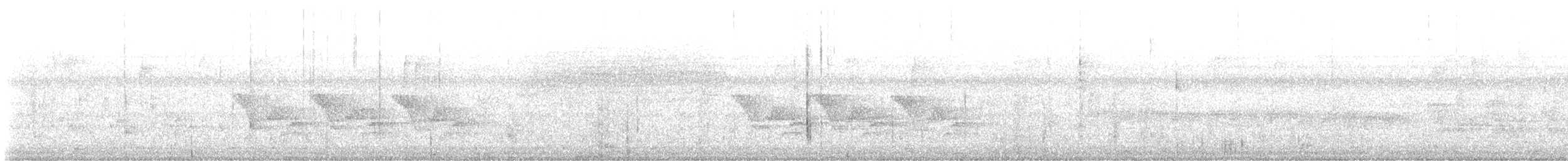 Carolina Wren - ML642647683