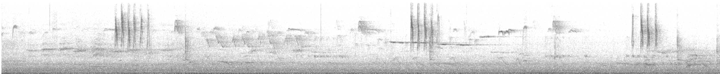 Striated Thornbill - ML642647839