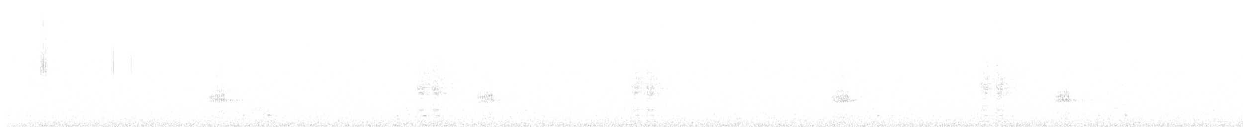 plysjskrike - ML642647947