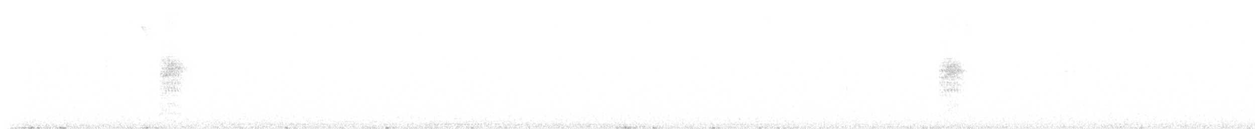 Buff-browed Foliage-gleaner - ML642647958