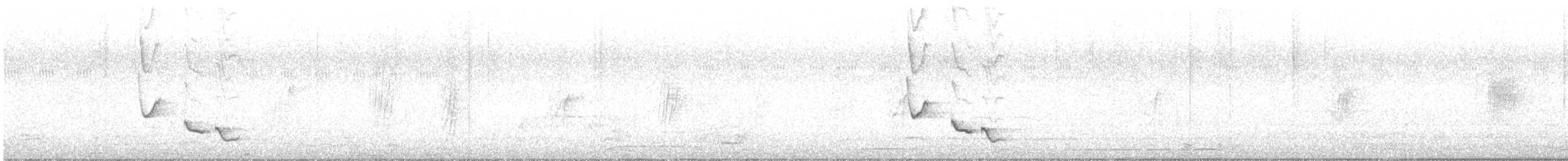 Long-billed Wren - ML642648751
