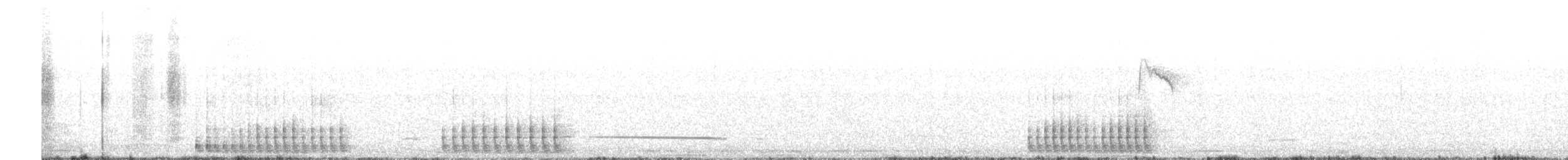 Цоохор тоншуул - ML642649373