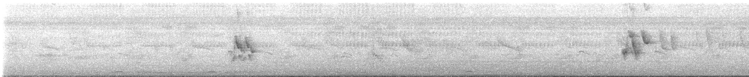 Bergeronnette grise (leucopsis) - ML642649648