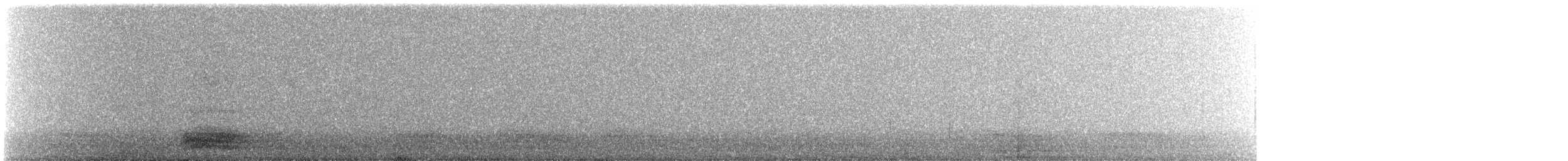 Corbeau familier - ML642650077