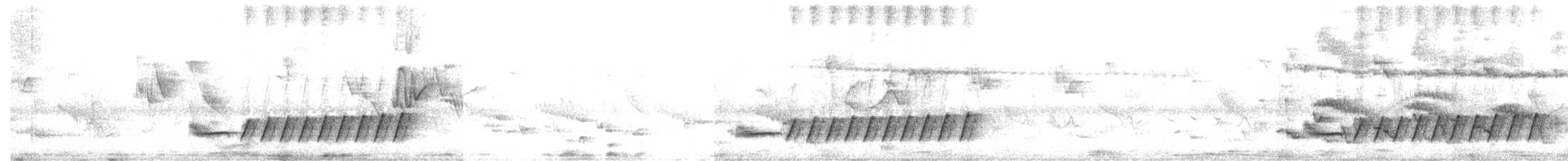 Gray-capped Warbler - ML642650082