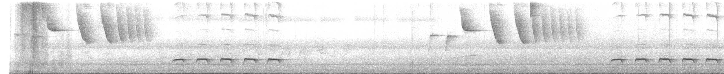 White-shouldered Fire-eye - ML642651547