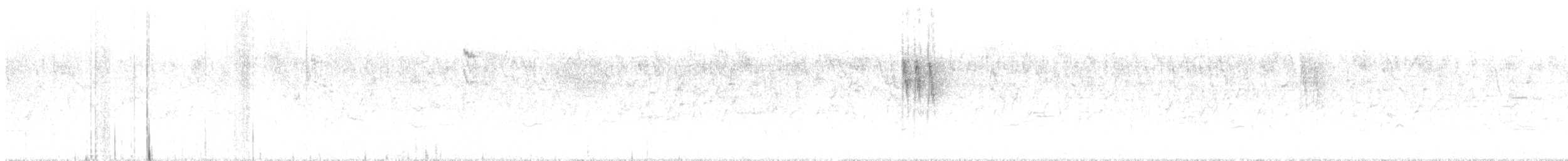 Bergeronnette grise - ML642652155