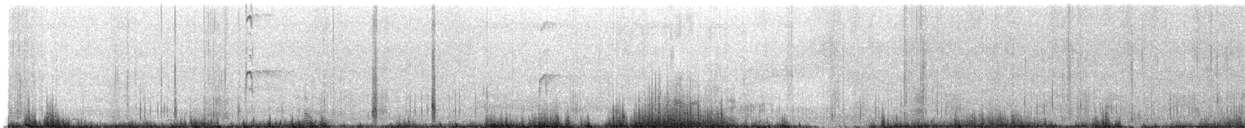 Hairy Woodpecker - ML642653238