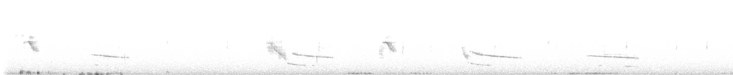 Banded Quail - ML642653283