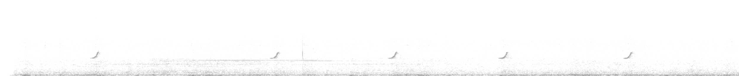 シロビタイジョウビタキ - ML642653306